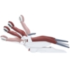 Dental Unit 1024